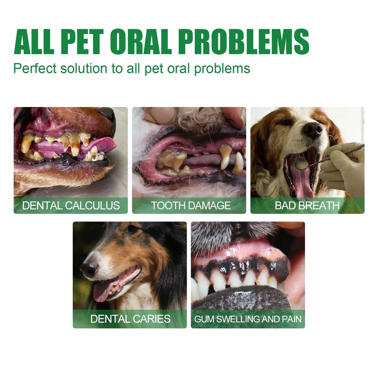 Oral Pet Spray